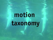 motion taxonomy